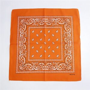 Bandana orange D01