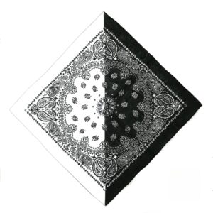 Black & White Split Paisley Bandana D02
