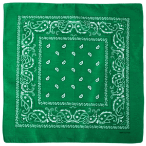 Bandana Green D01