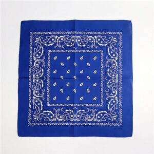 Bandana blue D01