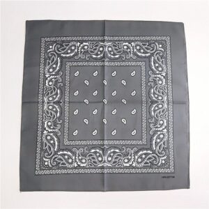 Bandana Gray D01