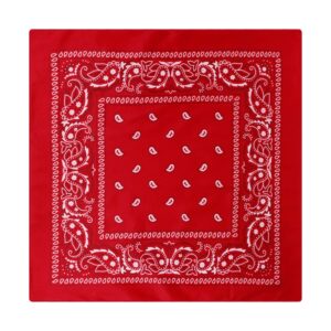 Bandana red D01