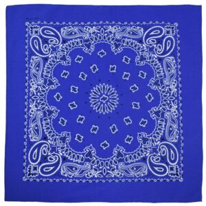 Bandana blue D02